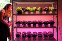 VORRATSKAMMER LAUBE - Photo HKW Joachin Loch